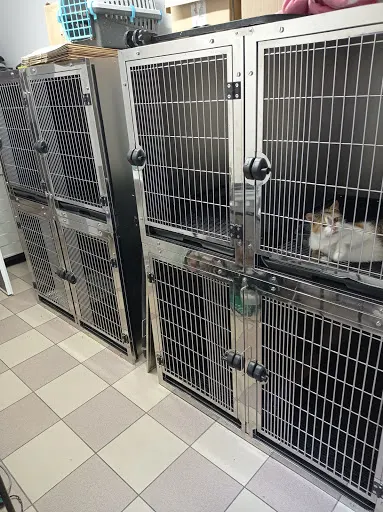 Gabinet Weterynaryjny Zdrowy Zwierz - Zamość